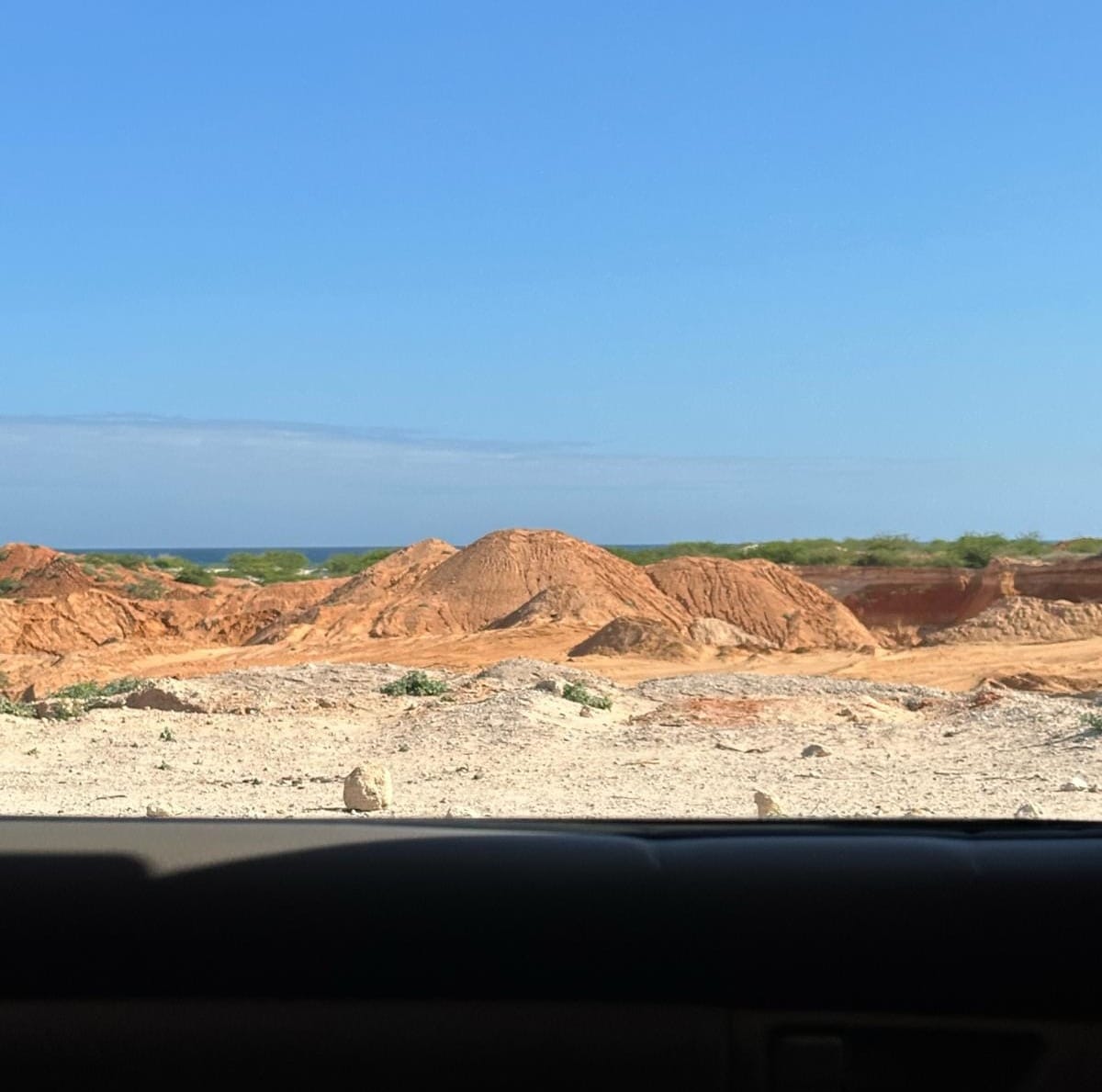 Maydi Newsletter: COP30 edition