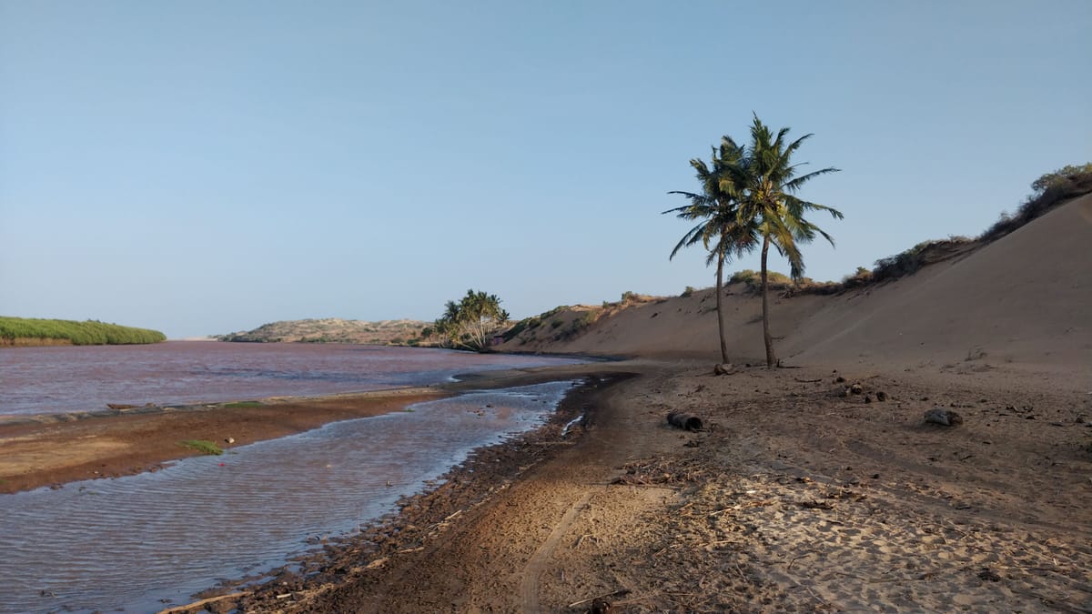 Maydi Newsletter: May 2025