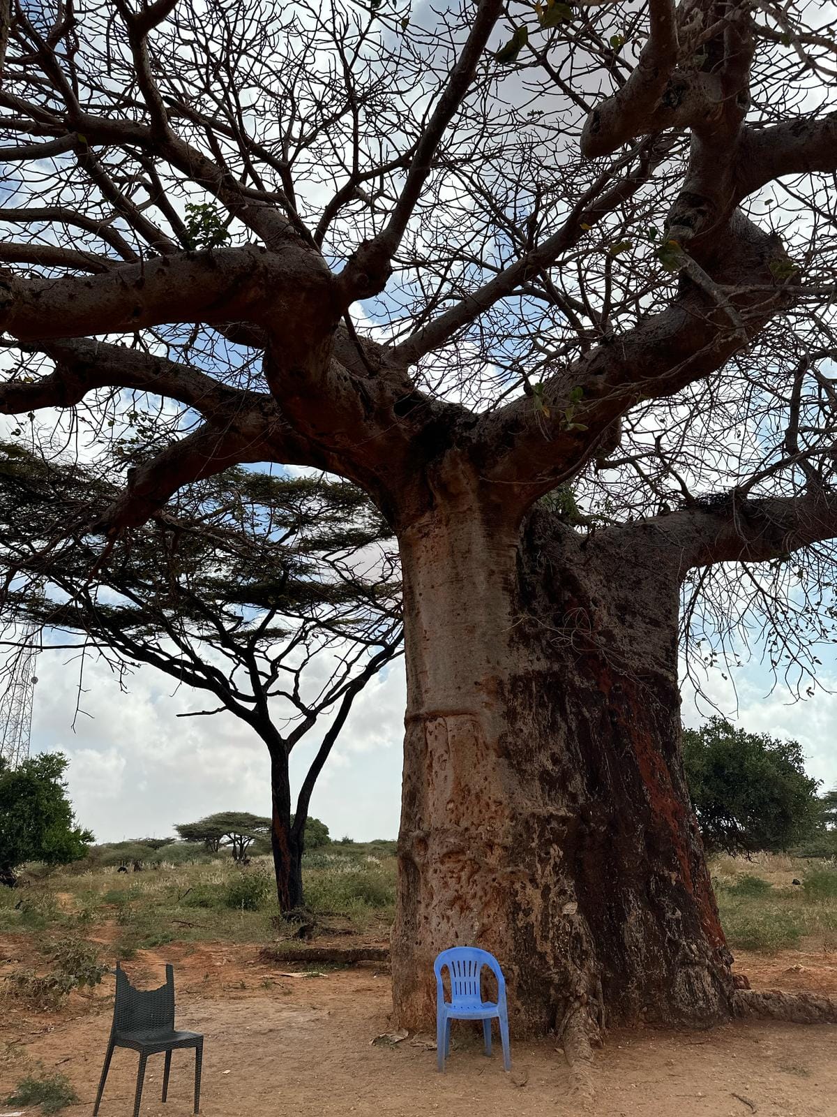 Maydi Newsletter: June 2025