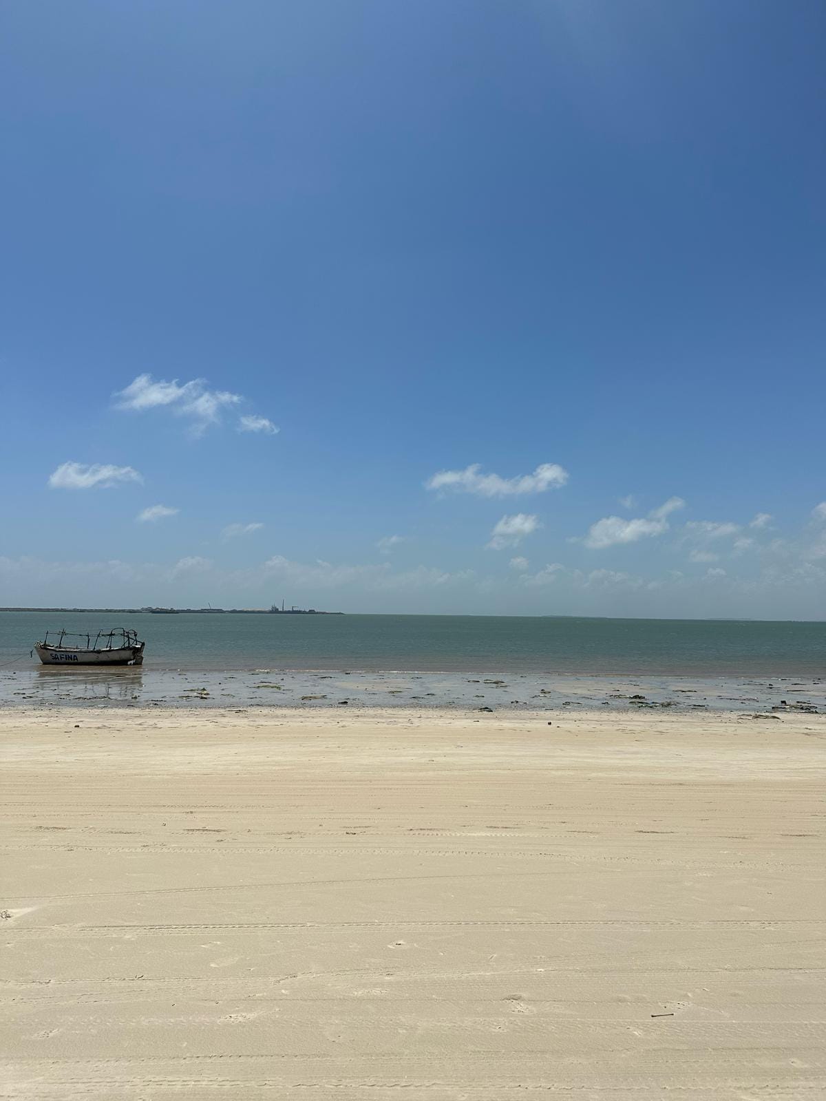 Maydi Newsletter: December 2025