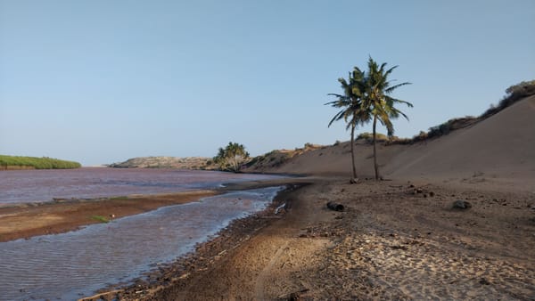 Maydi Newsletter: May 2025
