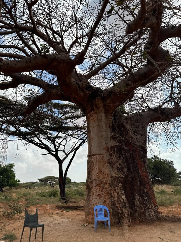 Maydi Newsletter: June 2025