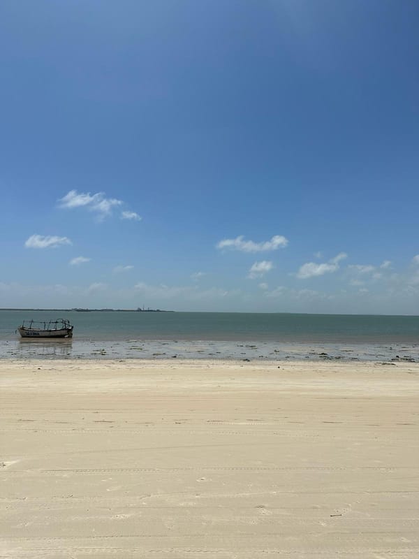 Maydi Newsletter: December 2025